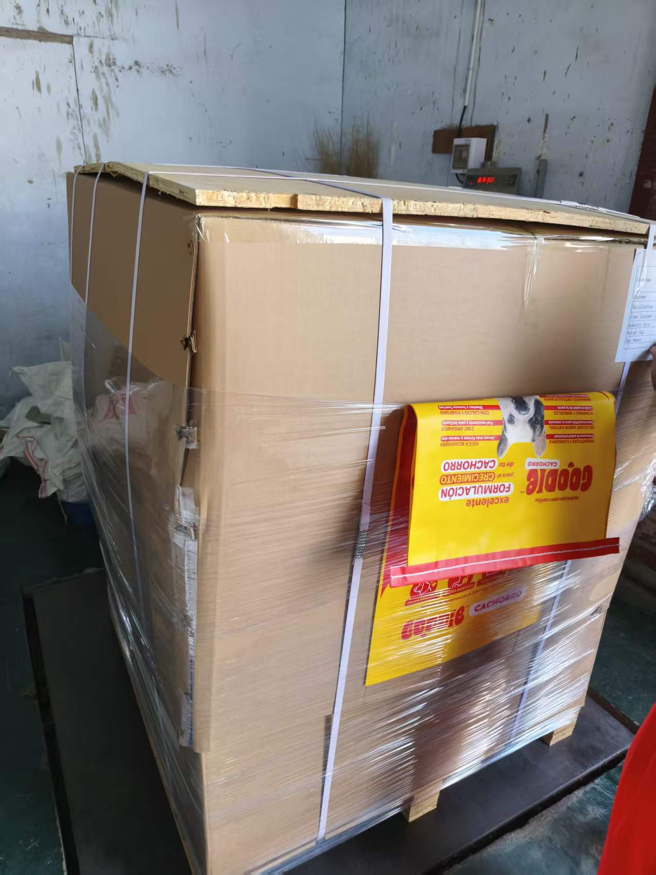 Export packing station